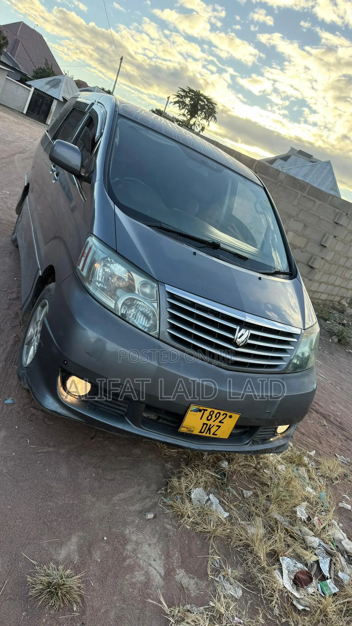 Toyota Alphard 2004 Gray