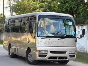 Nissan Civilian 2004 Beige