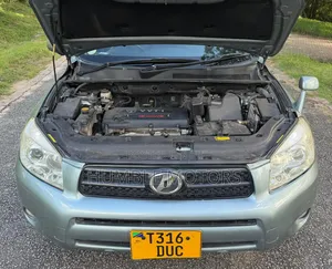 Toyota RAV4 2008 Gray
