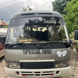 Toyota Coaster 2003 Gray