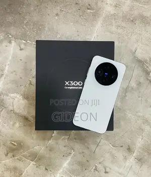 Vivo X300 512 GB Pink