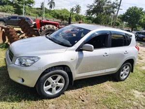 Toyota RAV4 2009 Silver