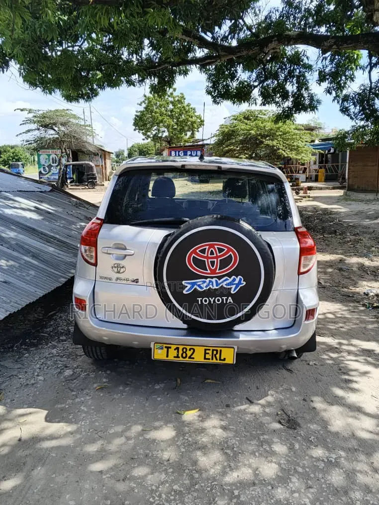 Toyota RAV4 2009 Silver
