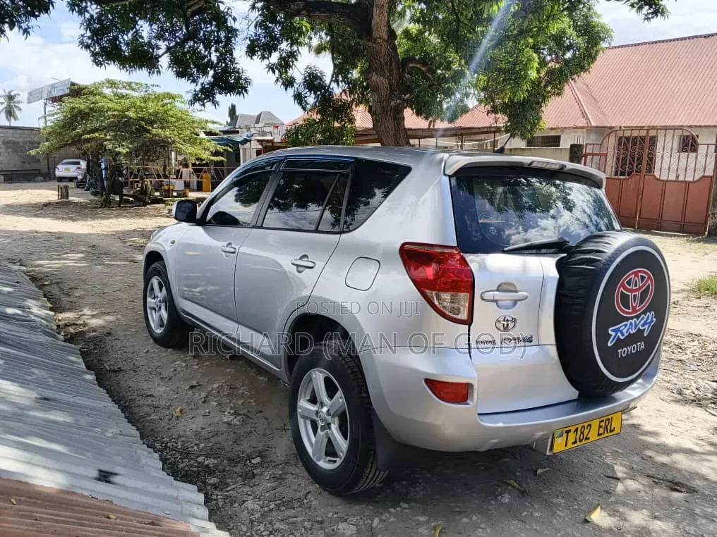 Toyota RAV4 2009 Silver