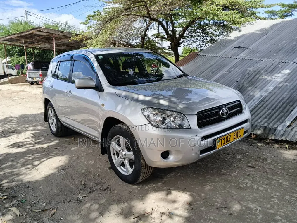 Toyota RAV4 2009 Silver