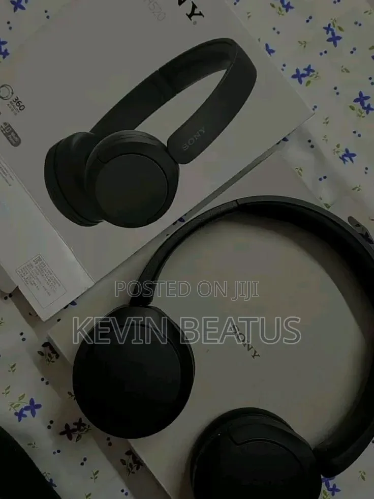 Sony Ch 520 Headphones