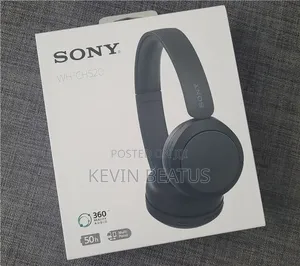 Sony Ch 520 Headphones