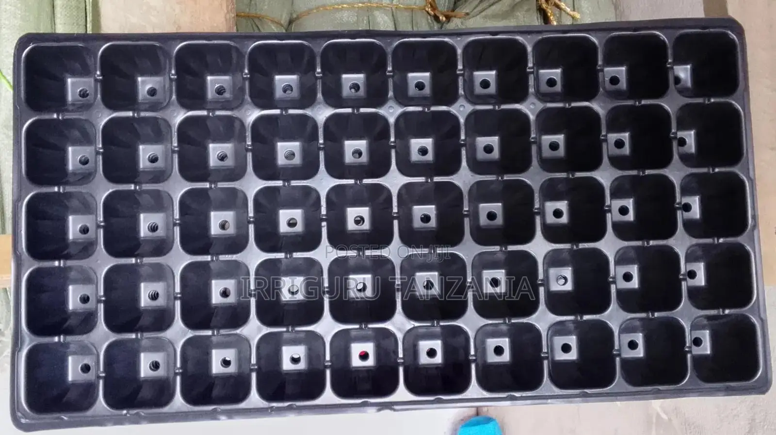Seed Trays