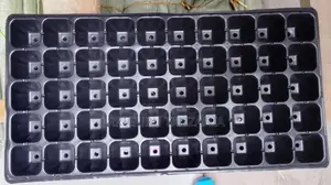 Seed Trays