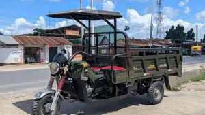 Bajaj 2025 Green
