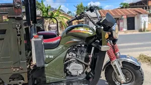 Bajaj 2025 Green