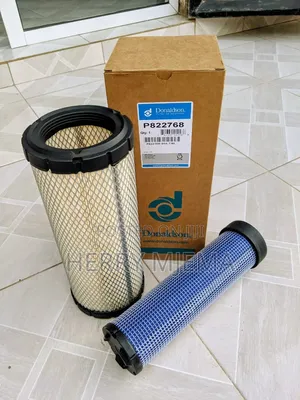 Air Filter P822768