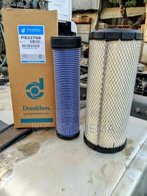Air Filter P822768