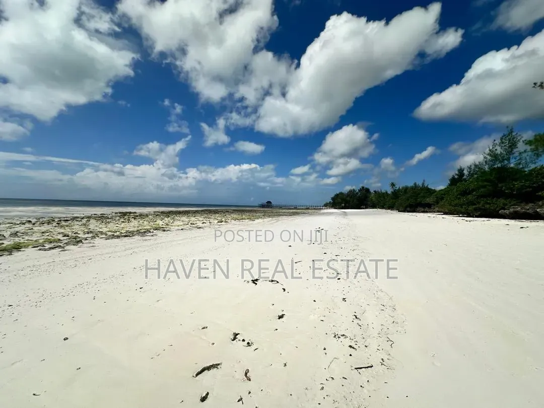 Prime Beach Plot for Sale at Zanzibar