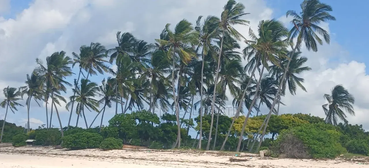 Beach Plot for Sale at Makunduchi Zanzibar