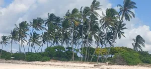 Beach Plot for Sale at Makunduchi Zanzibar
