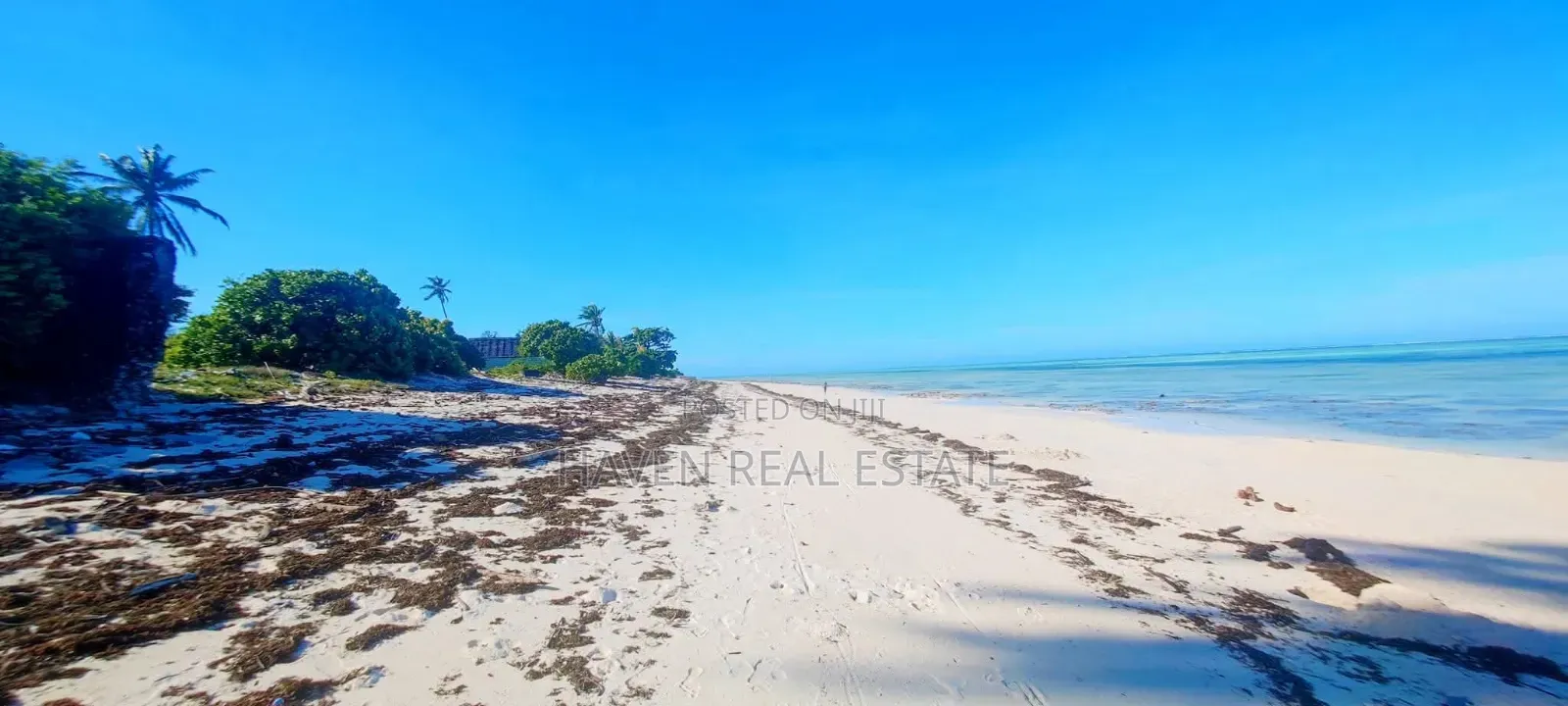 Beach Plot for Sale at Makunduchi Zanzibar