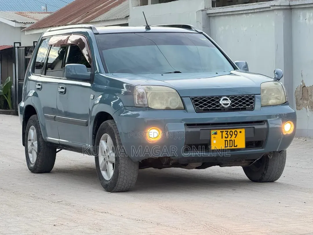 Nissan X-Trail 2005 Gray