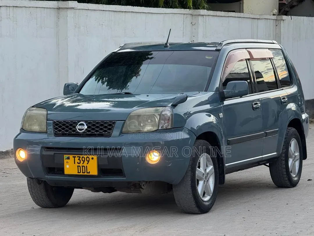 Nissan X-Trail 2005 Gray