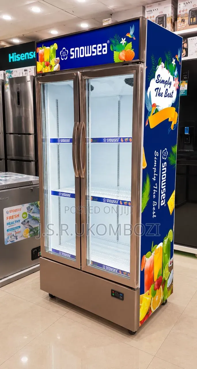 Snow Sea Showcase Double Door L650(Sn683s)