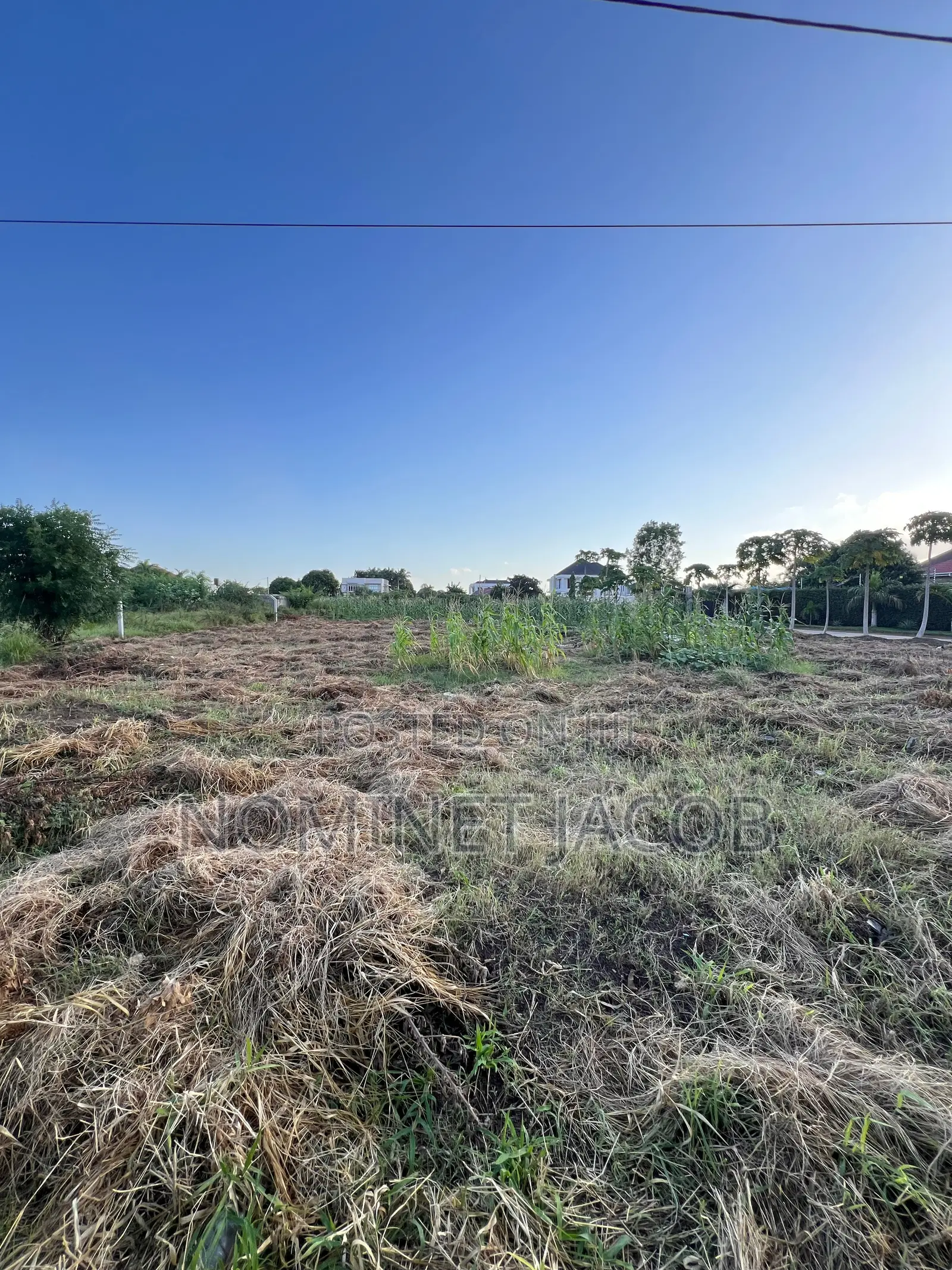 Plot for Sale