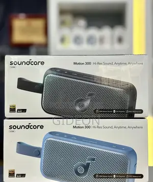 Soundcore Motion 300