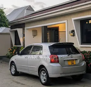Toyota Corolla RunX 2002 Silver