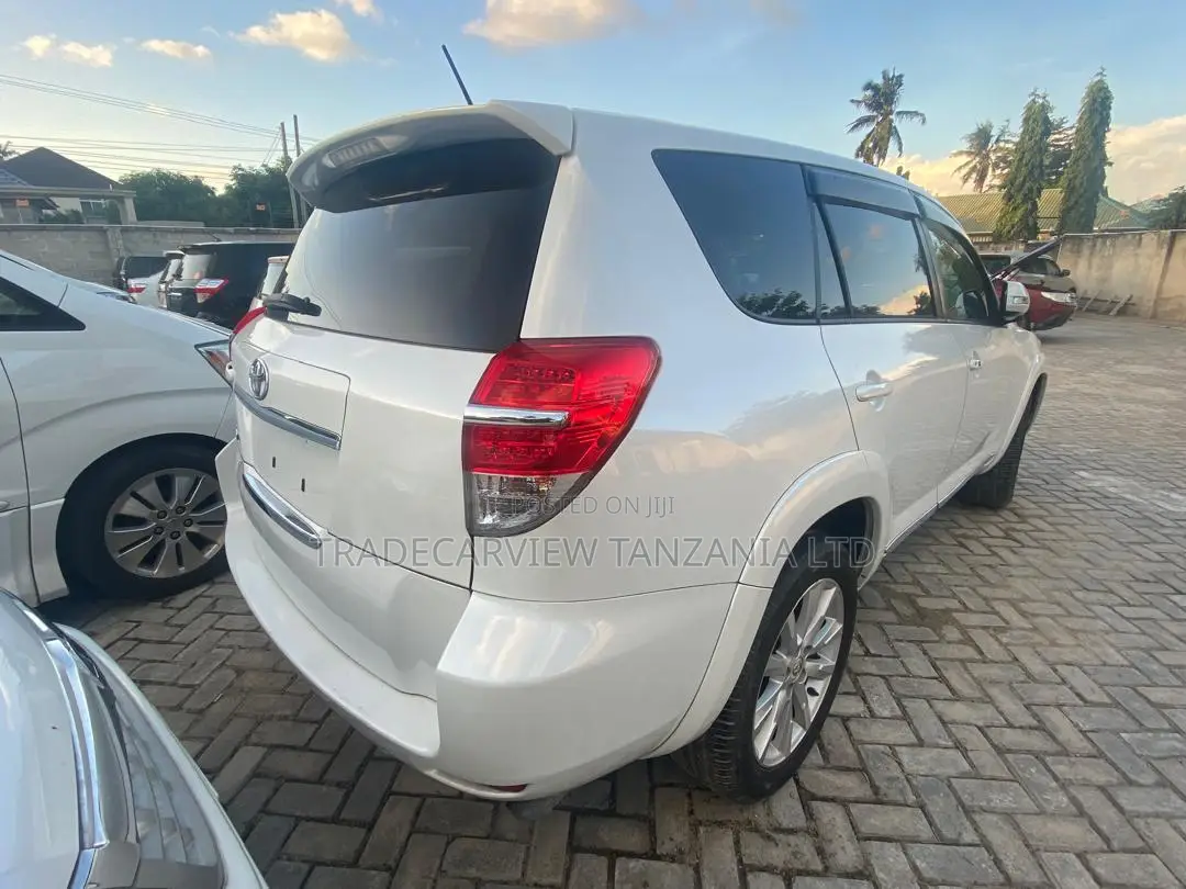 Toyota Vanguard 2010 Pearl