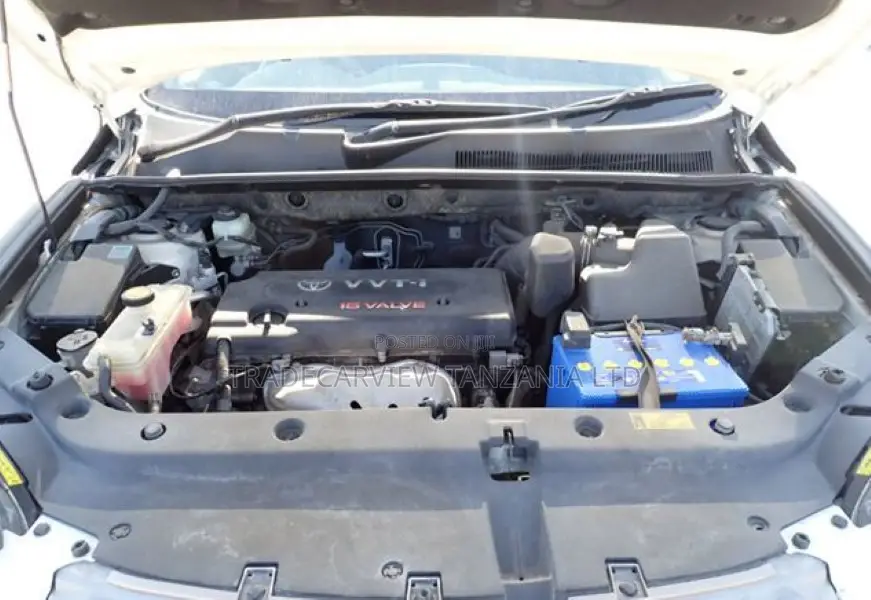 Toyota Vanguard 2010 Pearl
