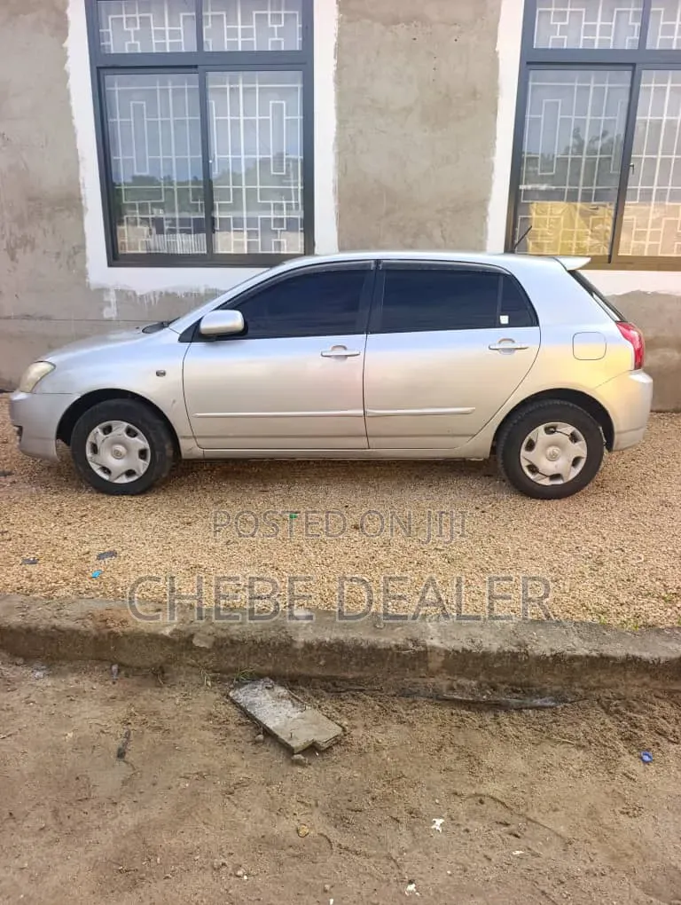 Toyota Corolla RunX 2006 Silver