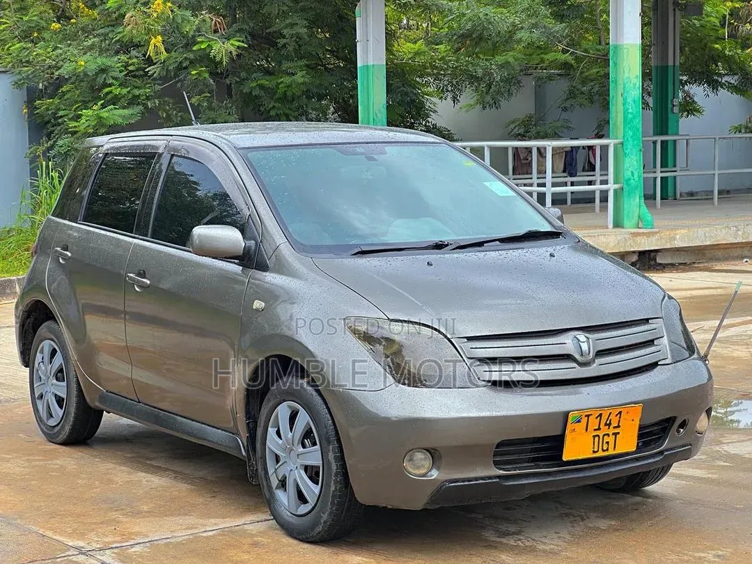 Toyota IST 2004 Gray