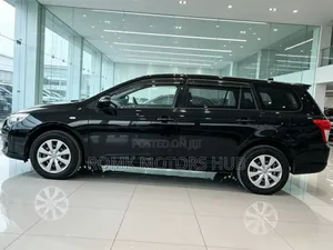 Toyota Corolla Fielder 2010 Black