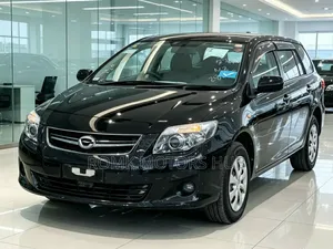 Toyota Corolla Fielder 2010 Black