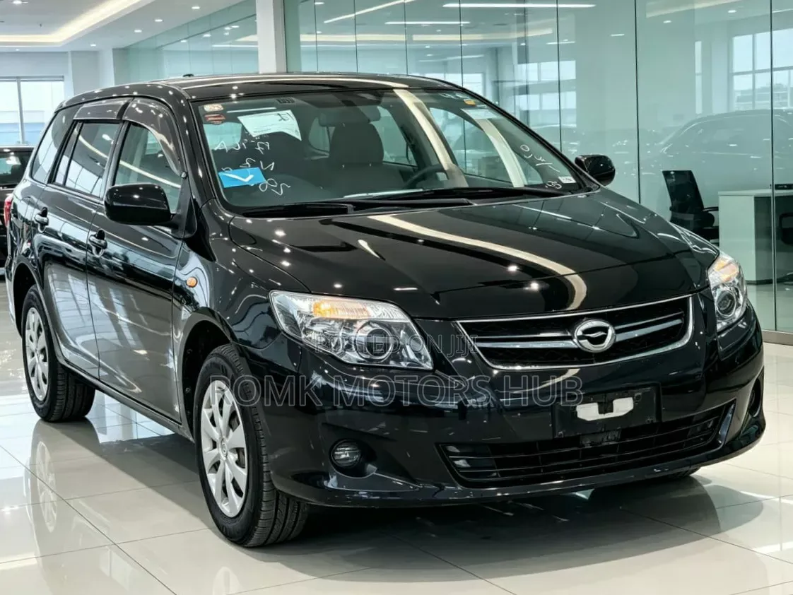 Toyota Corolla Fielder 2010 Black