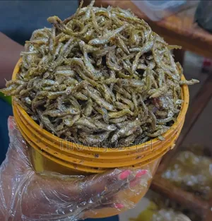 Tinah Dagaa