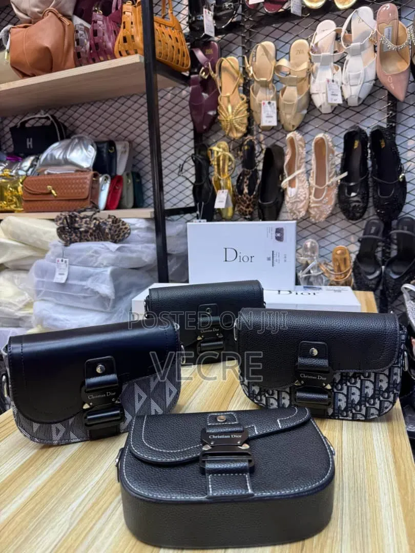 Handbags Christian Dior 