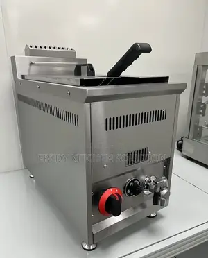 18litres Commercial Gas Fryer