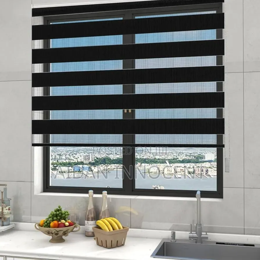 Zebra Blind Curtains