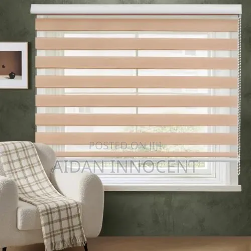 Zebra Blind Curtains