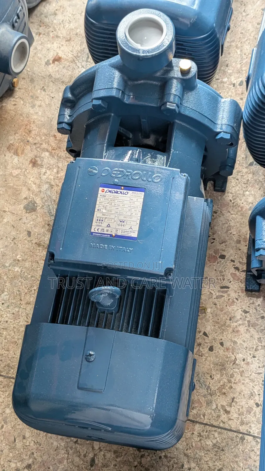 Pedrollo Surface Pump 15hp (2inch×1inch) Cp 250a
