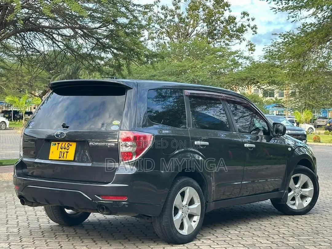 Subaru Forester 2009 Gray