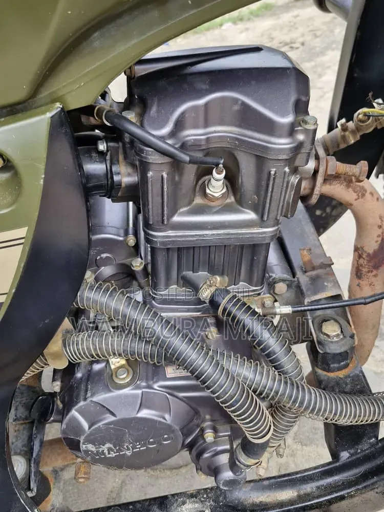 Bajaj 2025 Green