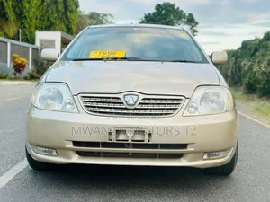 Toyota Corolla RunX 2005 Gold
