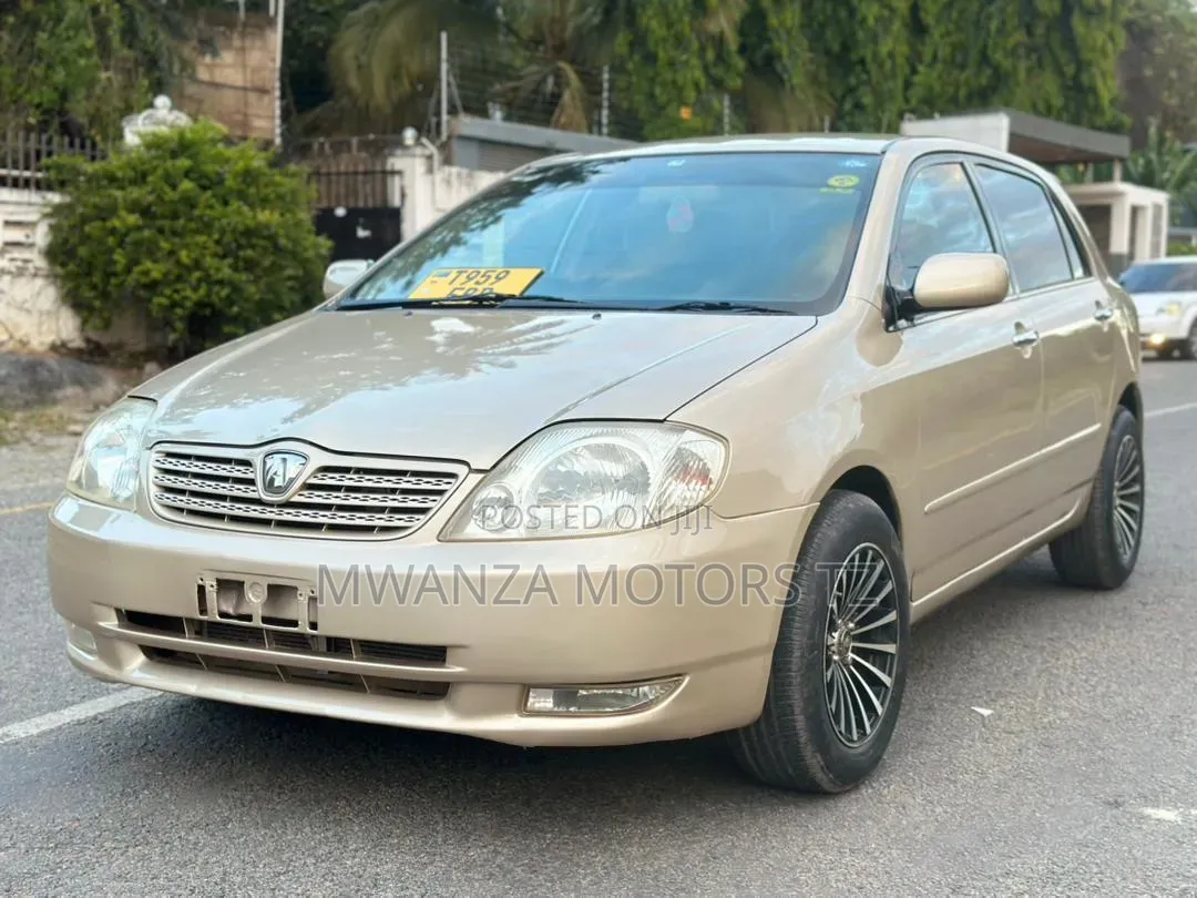 Toyota Corolla RunX 2005 Gold