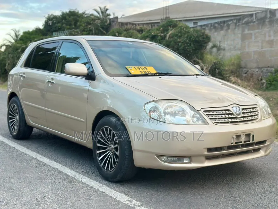 Toyota Corolla RunX 2005 Gold
