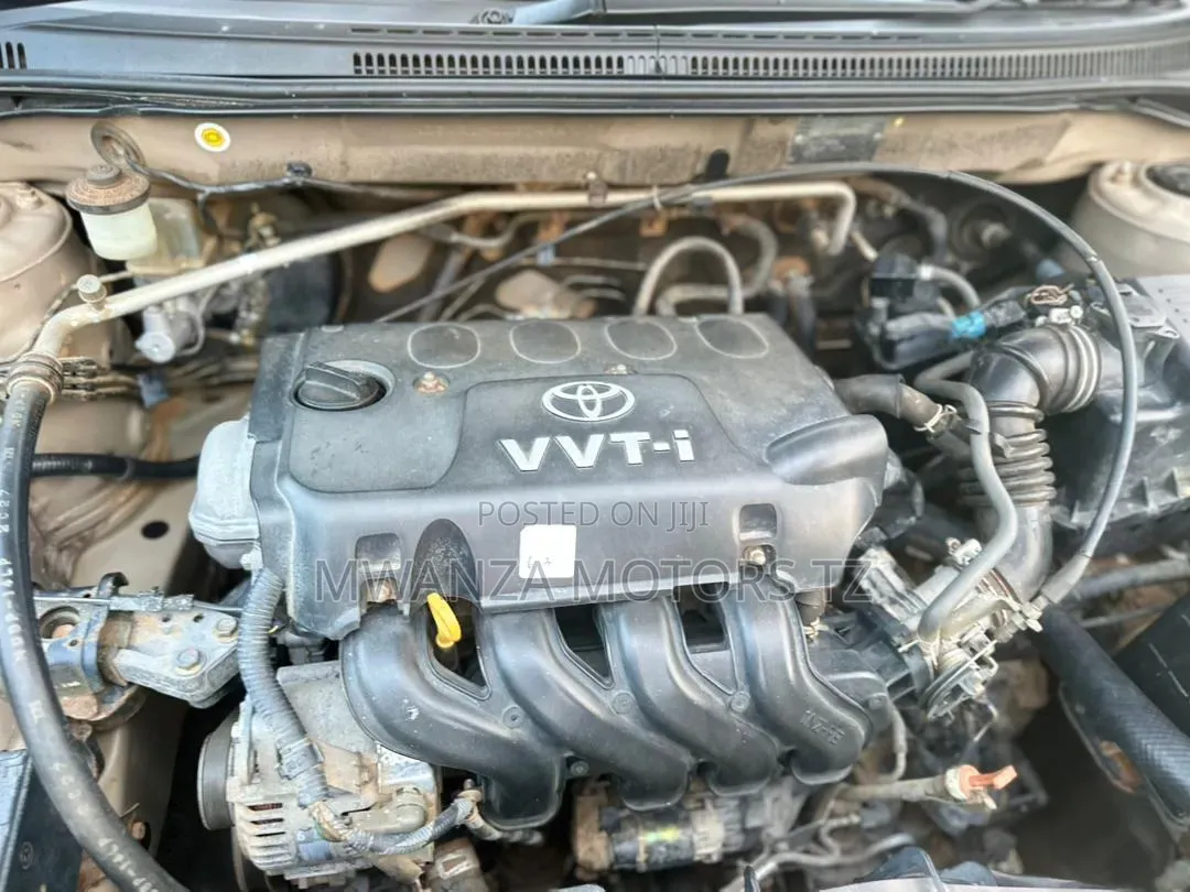 Toyota Corolla RunX 2005 Gold