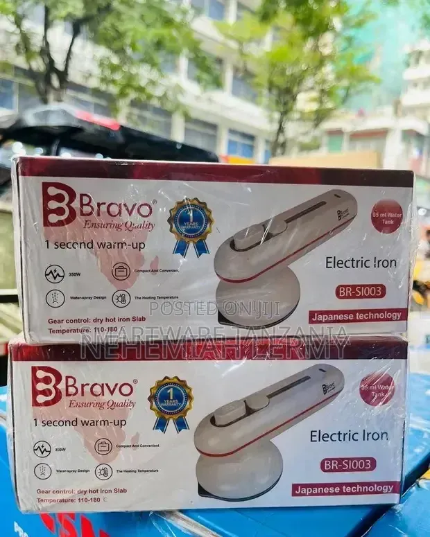 Portable Electric Steam Iron