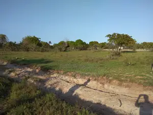 Plot For Sale At Kiromo Bagamoyo With A Title