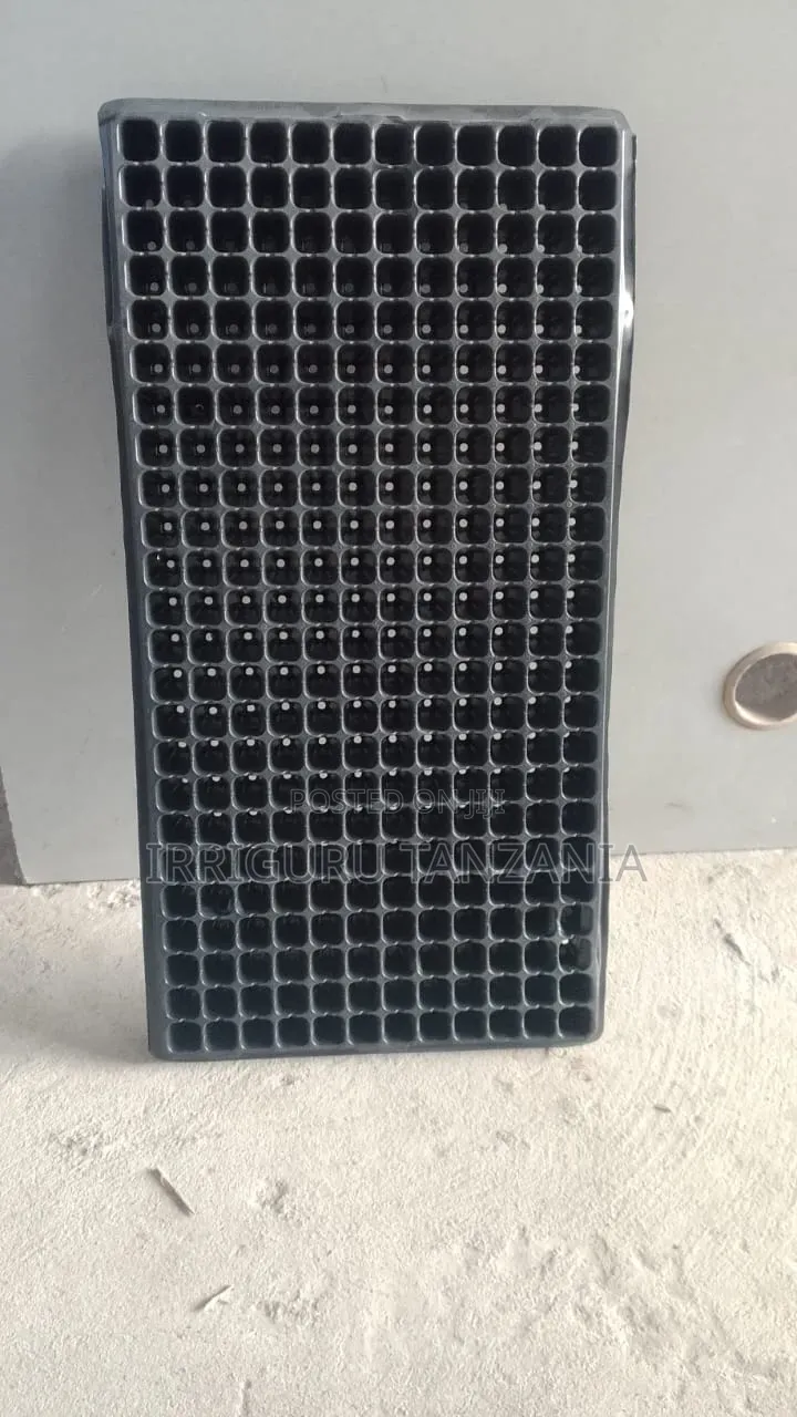 Seed Trays