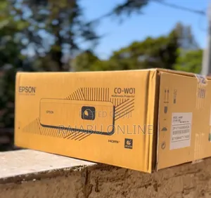 Epson Co-Wo1 Projector